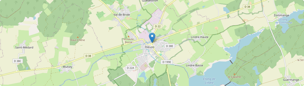 Dieuze - Carte