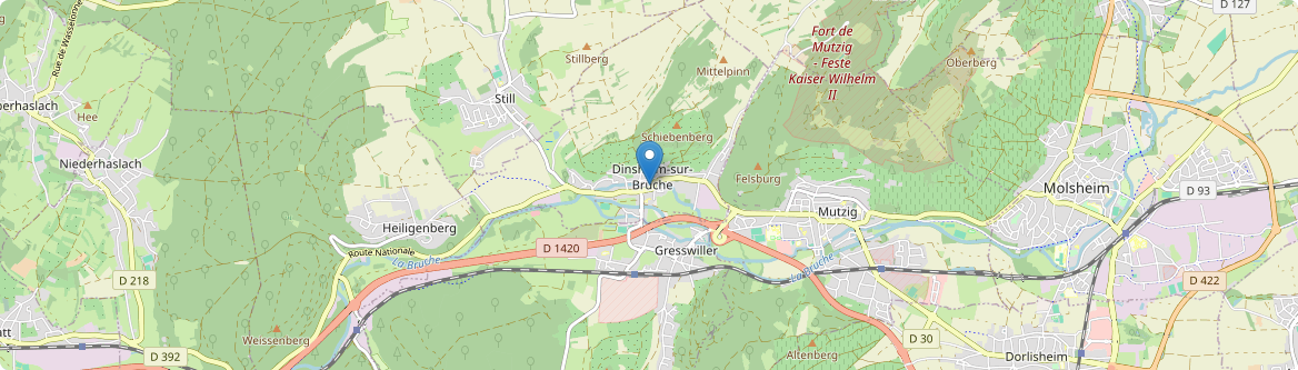 Dinsheim-sur-Bruche - Carte