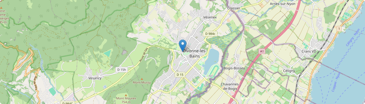 Divonne-les-Bains - Carte