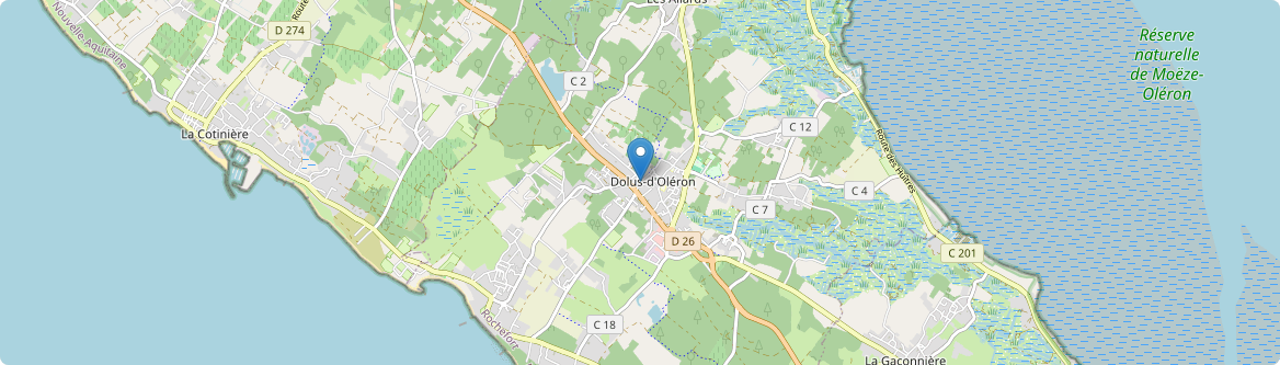 Dolus-d'Oléron - Carte