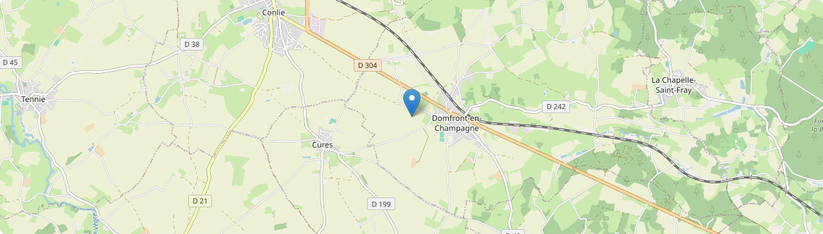 Domfront-en-Champagne - Carte