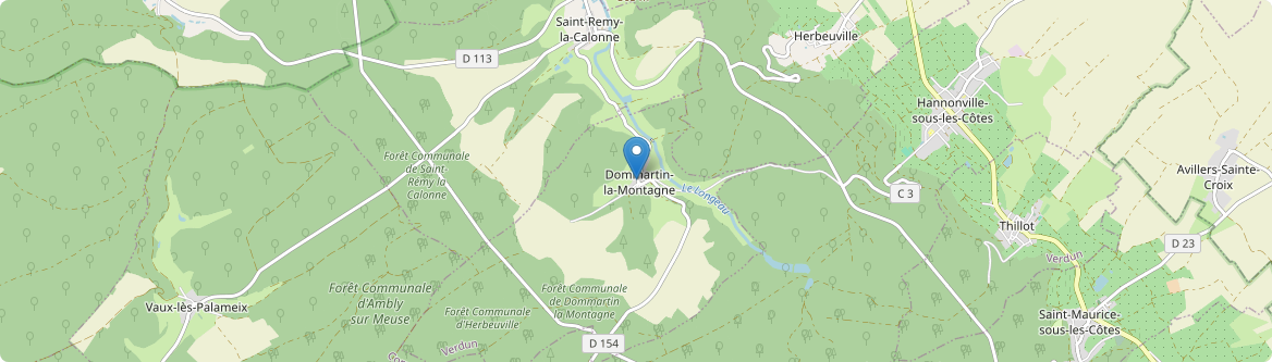 Dommartin-la-Montagne - Carte