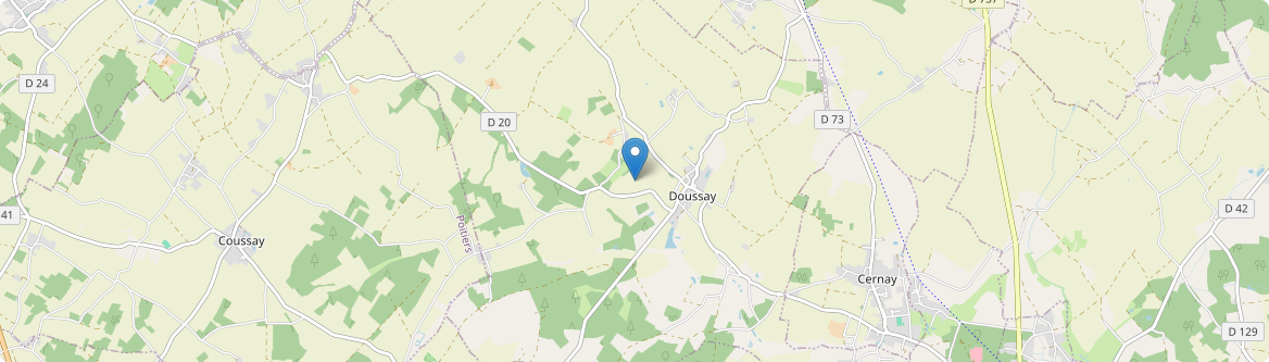 Doussay - Carte