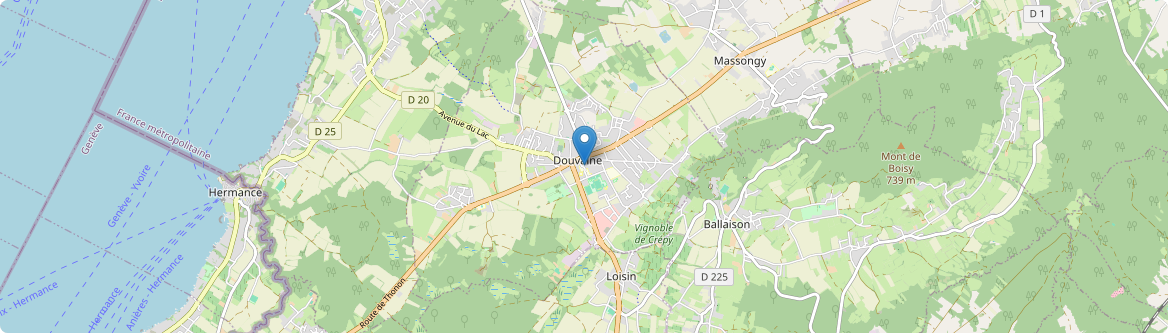 Douvaine - Carte
