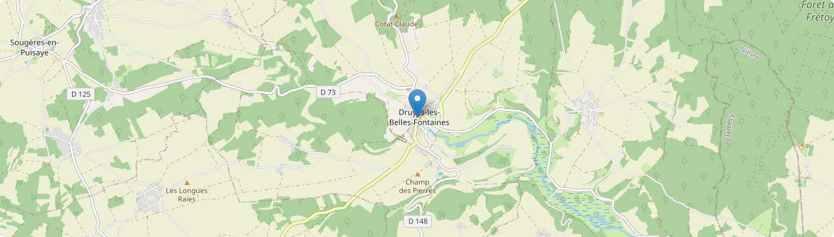 Druyes-les-Belles-Fontaines - Carte