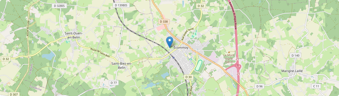 Écommoy - Carte