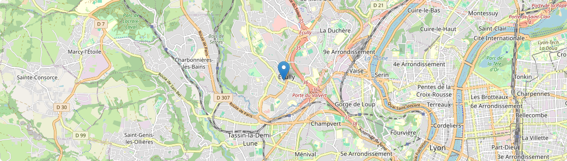 Écully - Carte