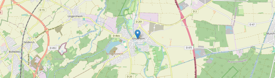 Ensisheim - Carte