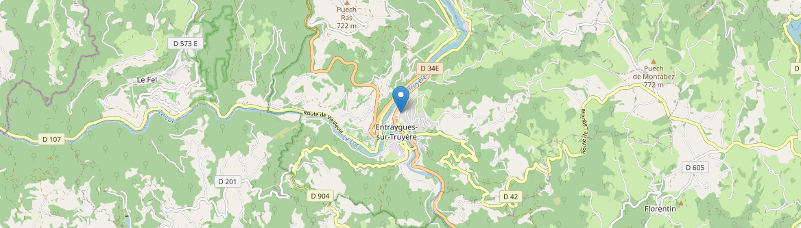 Entraygues-sur-Truyère - Carte