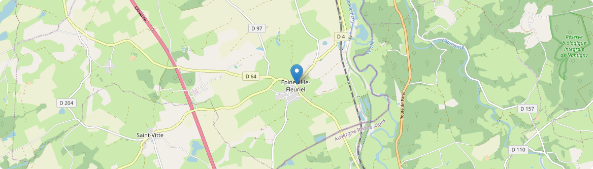 Épineuil-le-Fleuriel - Carte