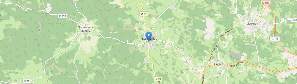 Espédaillac - Carte