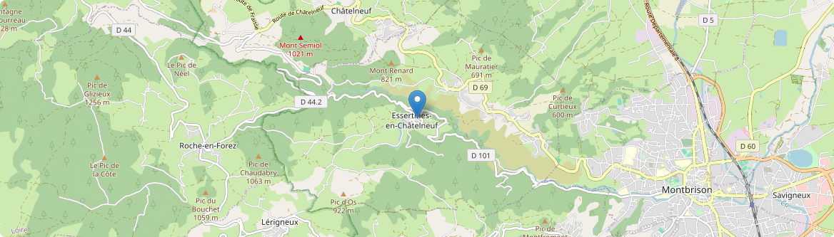 Essertines-en-Châtelneuf - Carte