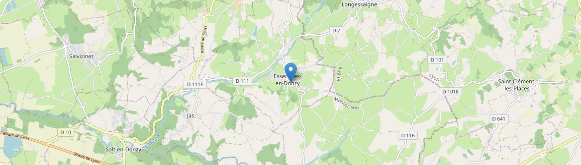 Essertines-en-Donzy - Carte