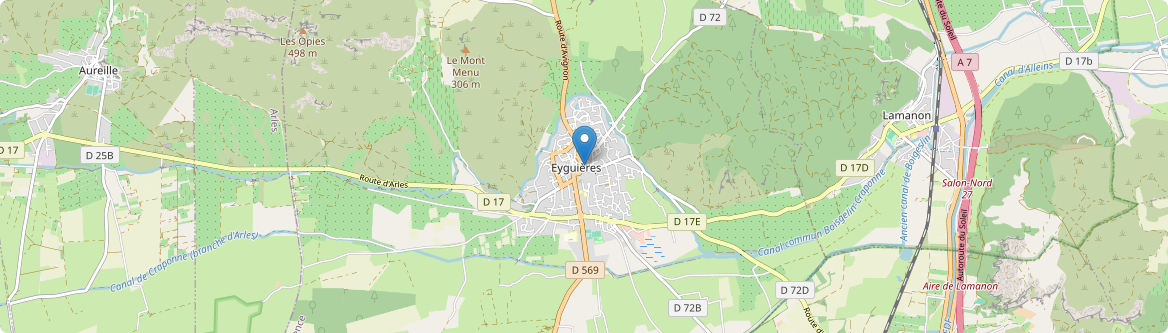 Eyguières - Carte