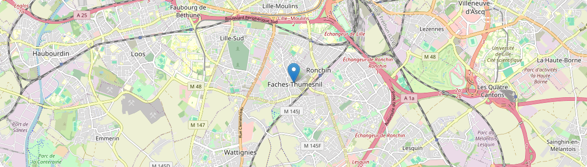 Faches-Thumesnil - Carte