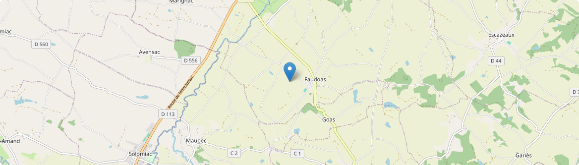 Faudoas - Carte