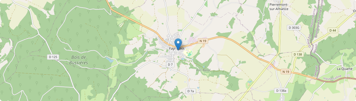 Fayl-Billot - Carte