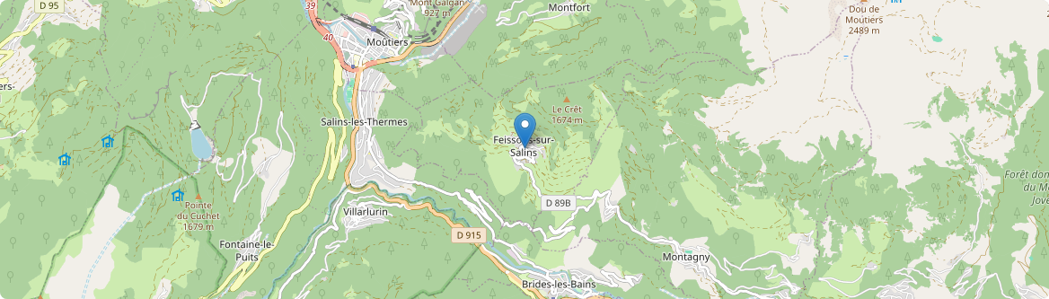 Feissons-sur-Salins - Carte