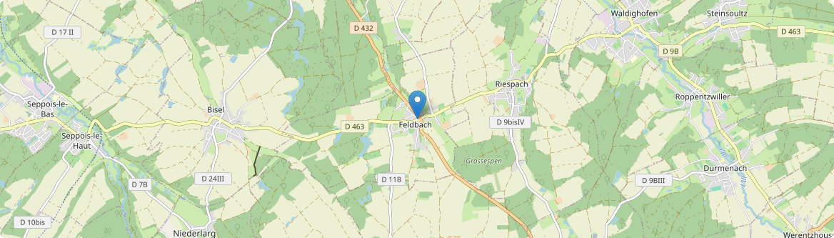 Feldbach - Carte