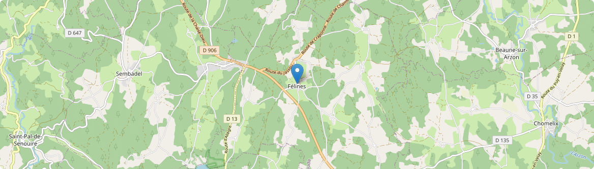 Félines - Carte