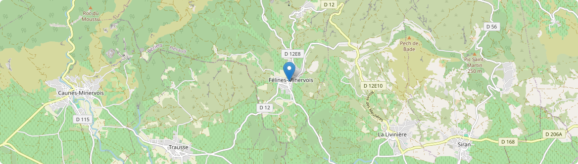 Félines-Minervois - Carte
