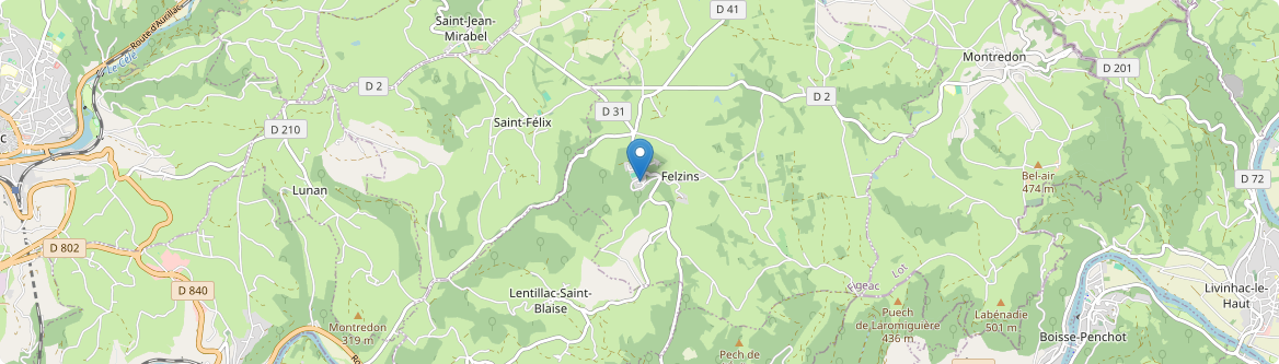 Felzins - Carte