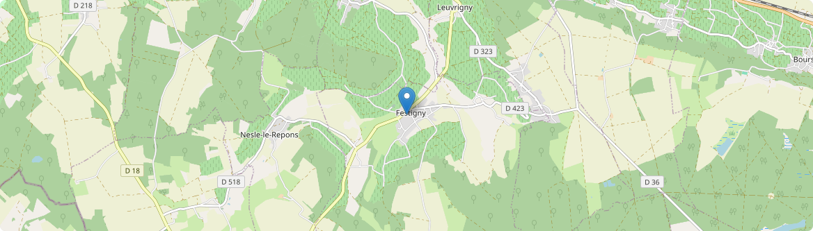 Festigny - Carte
