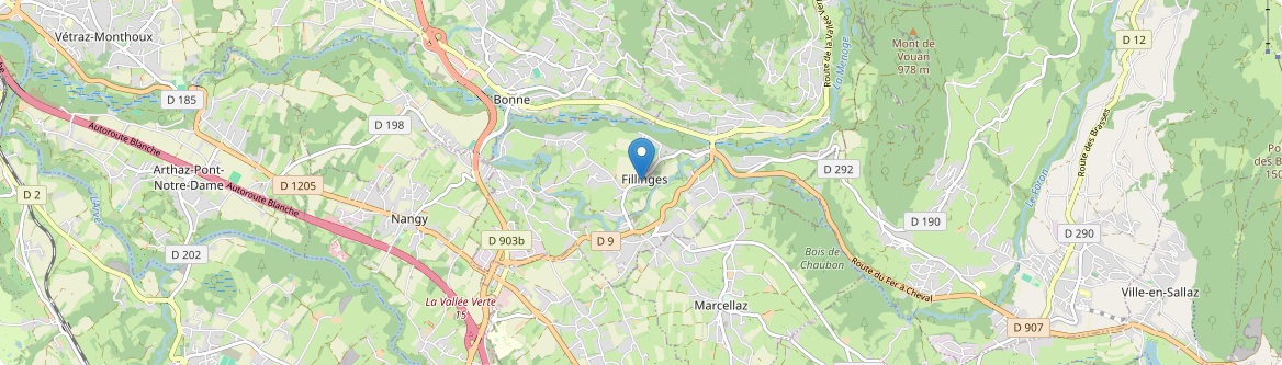 Fillinges - Carte