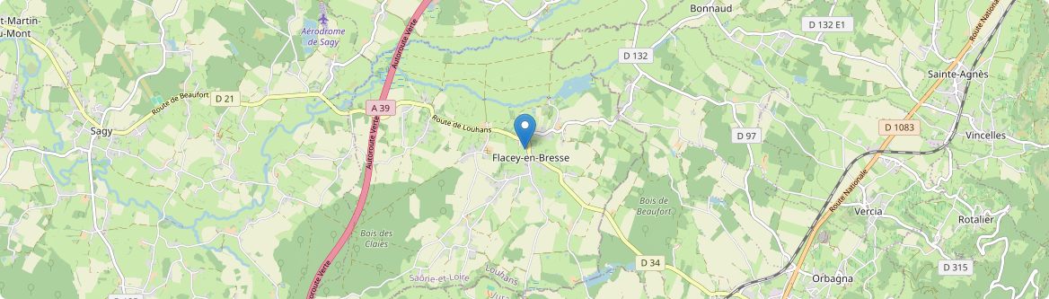 Flacey-en-Bresse - Carte