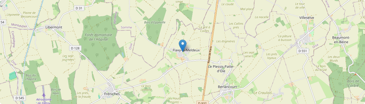 Flavy-le-Meldeux - Carte