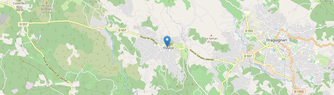 Flayosc - Carte