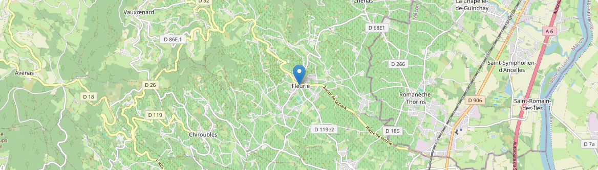 Fleurie - Carte