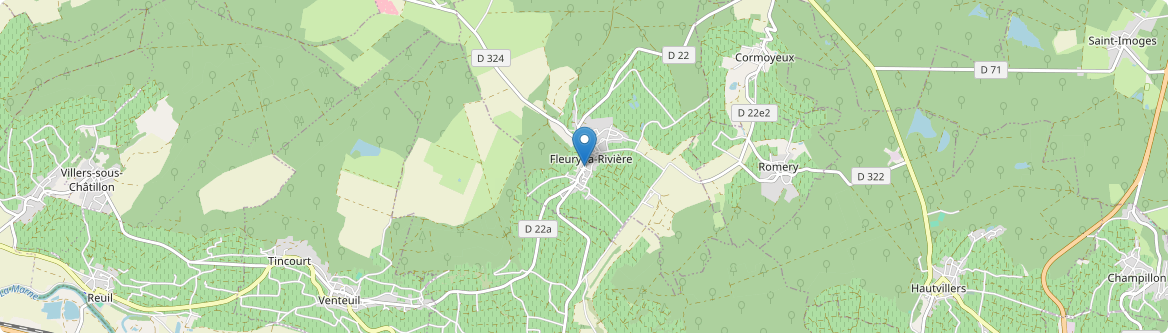 Fleury-la-Rivière - Carte