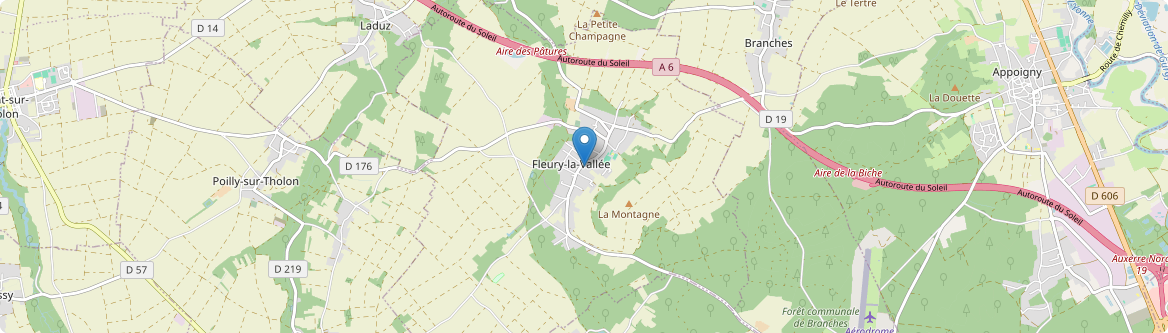Fleury-la-Vallée - Carte