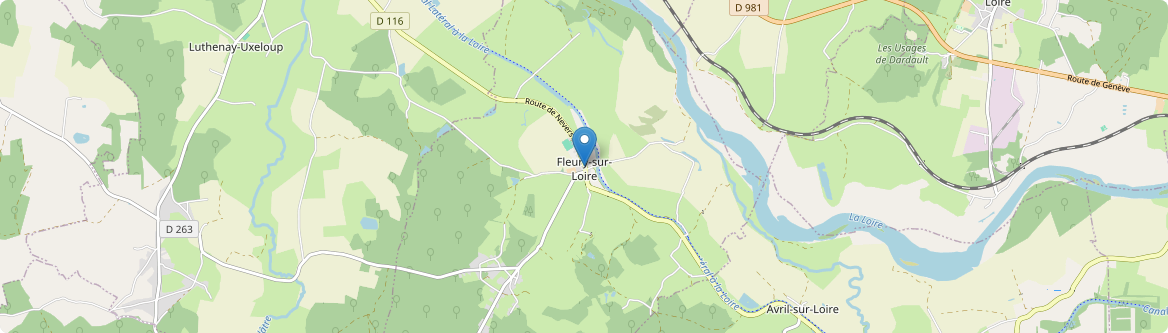 Fleury-sur-Loire - Carte