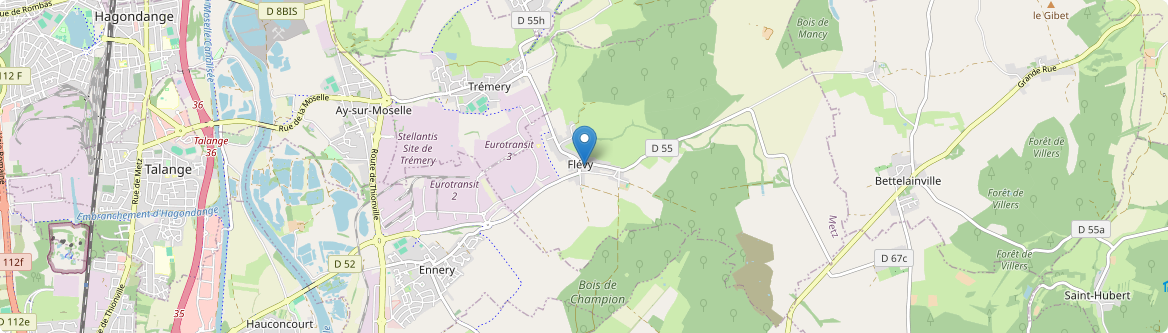 Flévy - Carte