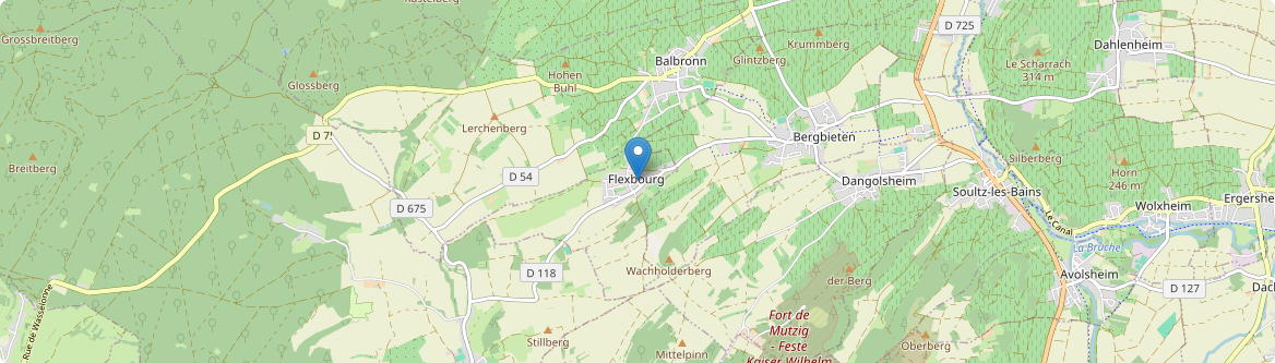 Flexbourg - Carte