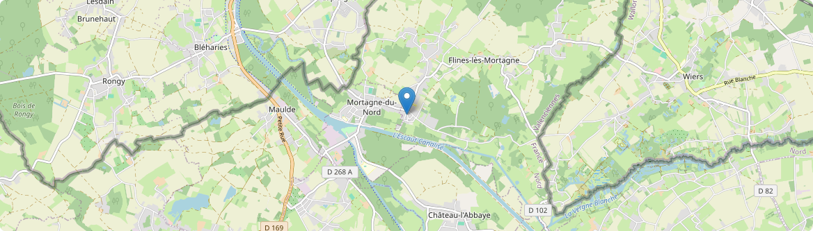 Flines-lès-Mortagne - Carte