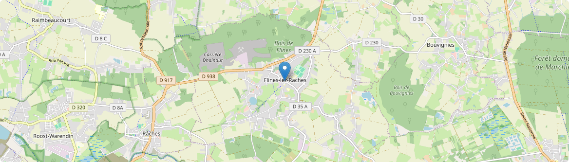 Flines-lez-Raches - Carte