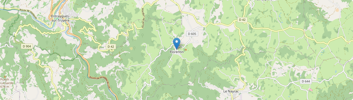 Florentin-la-Capelle - Carte