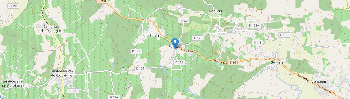 Foissac - Carte
