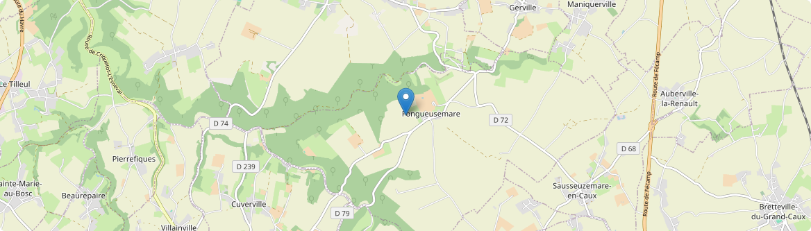 Fongueusemare - Carte