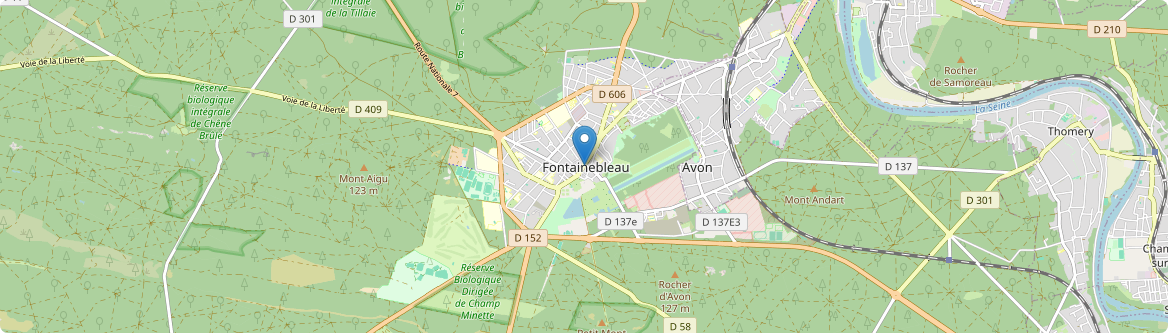 Fontainebleau - Carte