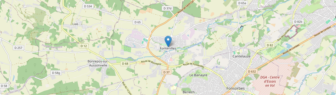 Fontenilles - Carte