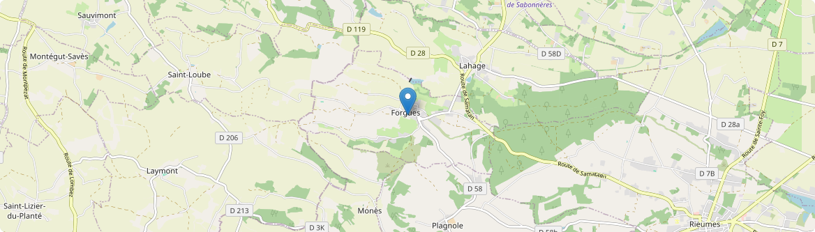 Forgues - Carte
