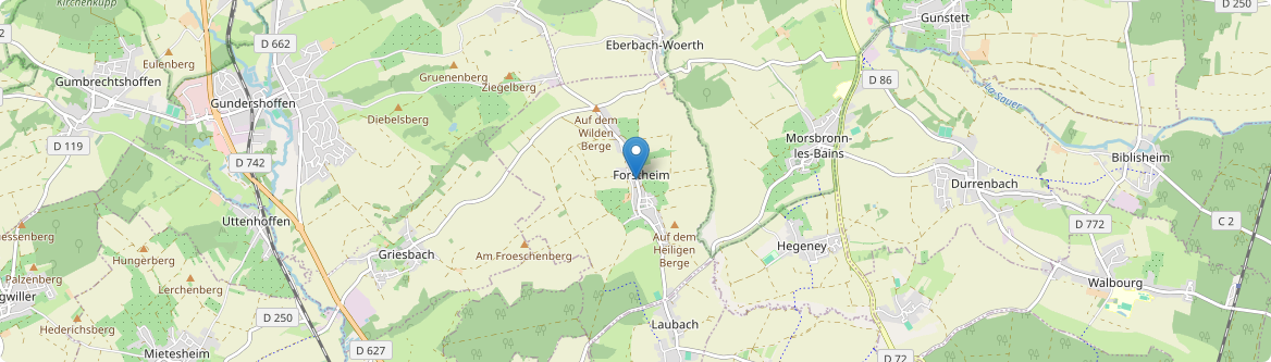 Forstheim - Carte