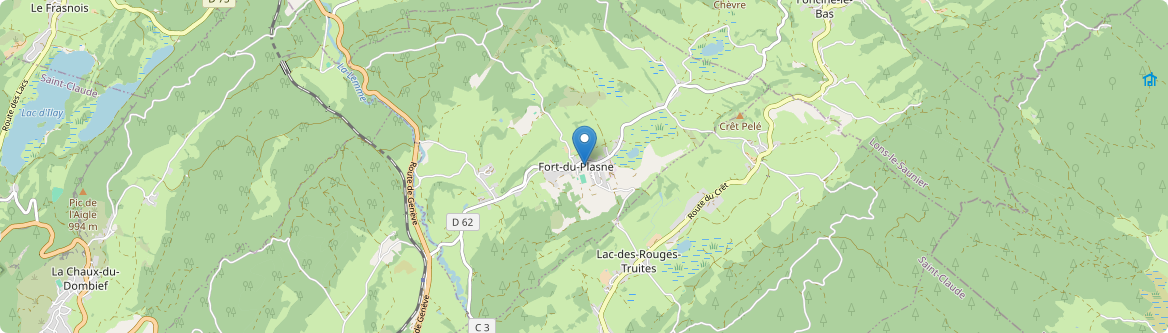 Fort-du-Plasne - Carte