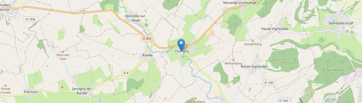 Fouligny - Carte