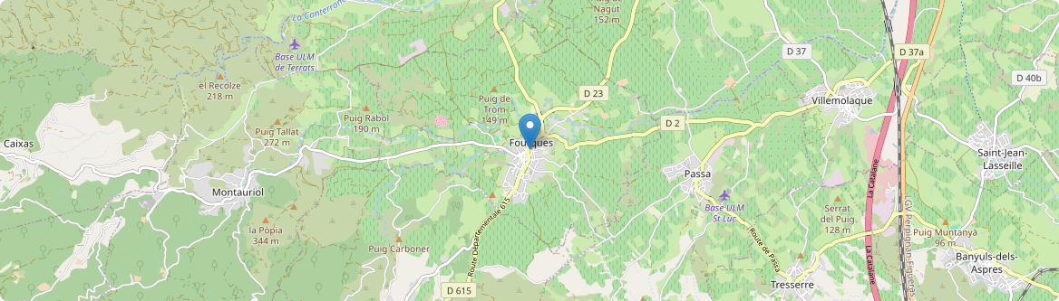 Fourques - Carte