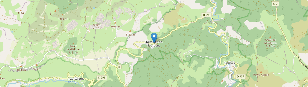 Fraissinet-de-Fourques - Carte